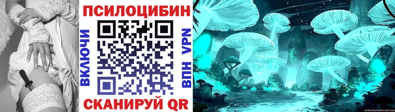 дарнет шоп  Скопин  Псилоцибиновые грибы Psilocybe 